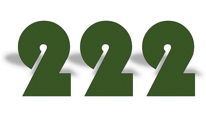 222 Angel Number in Death, Pregnancy, Health, Love, Career & Finance